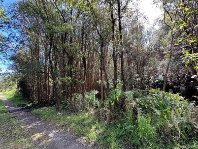 Wonderful lot in Aloha Estates to build your dream Hawaiian - photo 3