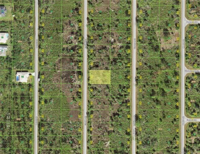 Great price for future investment. There are homes starting to - photo 2