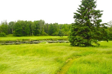 If you are searching for that private, waterfront get-a-way - photo 30