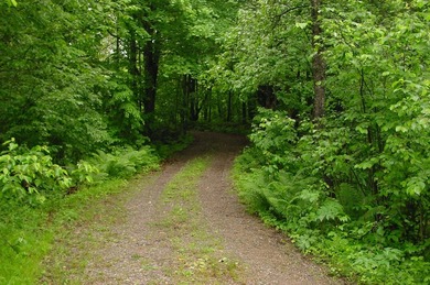 If you are searching for that private, waterfront get-a-way - photo 32