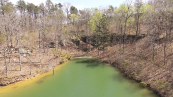 SMITH LAKE/ARLEY, Great building lot, Gentle slope, wooded - Lake Lot For Sale in Arley, Alabama