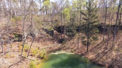 SMITH LAKE/ARLEY, Great building lot, Gentle slope, wooded - photo 2