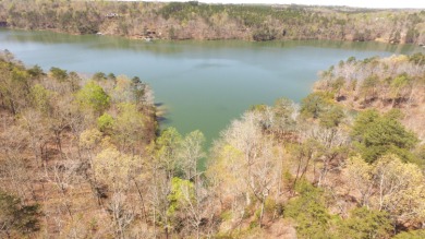 SMITH LAKE/ARLEY, Great building lot, Gentle slope, wooded - photo 3