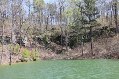 SMITH LAKE/ARLEY, Great building lot, Gentle slope, wooded - photo 2