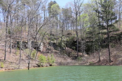 SMITH LAKE/ARLEY, Great building lot, Gentle slope, wooded - photo 3