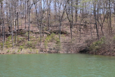SMITH LAKE/ARLEY, Great building lot, Gentle slope, wooded - photo 2
