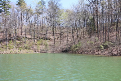 SMITH LAKE/ARLEY, Great building lot, Gentle slope, wooded - photo 3