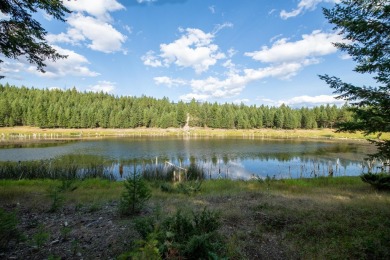 Lake Acreage For Sale in Eureka, Montana