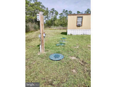 Prime Sika Deer Country! Small private getaway with pond. Enough - photo 11