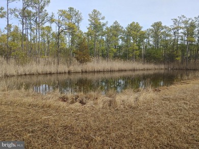 Prime Sika Deer Country! Small private getaway with pond. Enough - photo 18