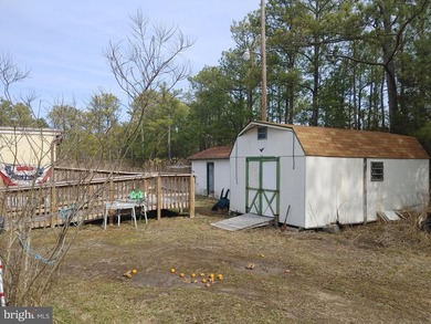 Prime Sika Deer Country! Small private getaway with pond. Enough - photo 20