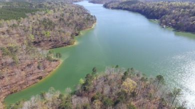 Lake Lot For Sale in Arley, Alabama