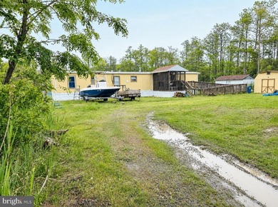 Prime Sika Deer Country! Small private getaway with pond. Enough - photo 24
