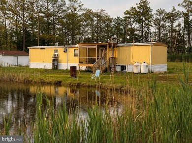 Prime Sika Deer Country! Small private getaway with pond. Enough - photo 28