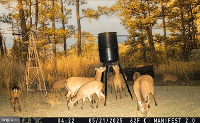 Prime Sika Deer Country! Small private getaway with pond. Enough - photo 29