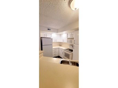 Beautiful condo for rent in the desirable Ponte Verde at Palm - photo 4