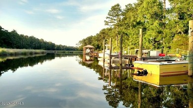 LAKEFRONT HOMESITE! Elevated homesite in a riverfront - photo 10