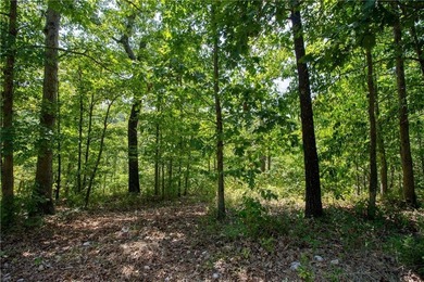 Lake Windsor Acreage For Sale in Bella Vista Arkansas