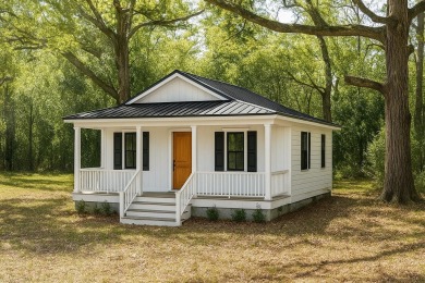 Lake Marion Home For Sale in Eutawville South Carolina