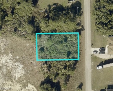 Lehigh Acres Area Lot For Sale in Lehigh Acres Florida