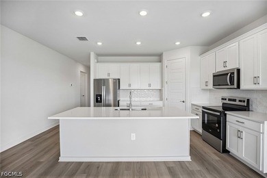 BRAND NEW energy - efficient home! This four-bedroom home is the - photo 5