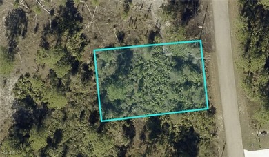 Lehigh Acres Area Lot For Sale in Lehigh Acres Florida