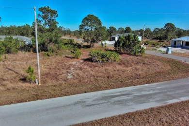 Lehigh Acres Area Lot For Sale in Lehigh Acres Florida
