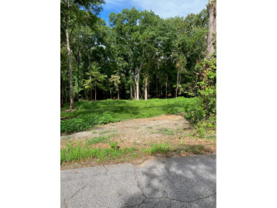 Great opportunity for near lake mobile home - Lake Home For Sale in Greenwood, South Carolina
