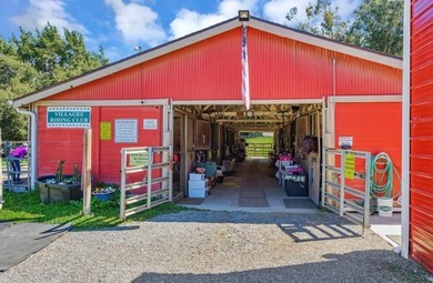 Perfection!! End unit in The Villages! Beautifully updated - photo 35