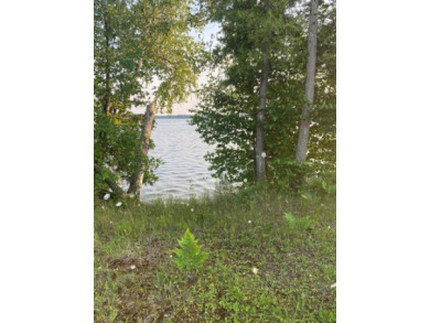 Milakokia Lake Lot For Sale in Gould City Michigan