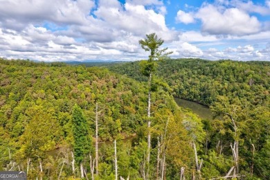 Carters Lake Acreage For Sale in Ellijay Georgia
