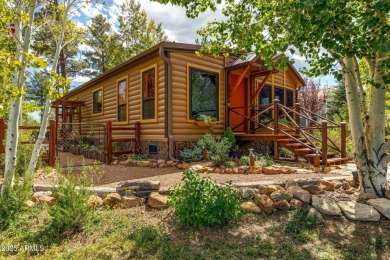 Lake Home For Sale in Overgaard, Arizona