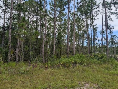 Lake Lot For Sale in Indian Lake Estates, Florida