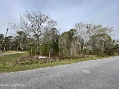 Great location. A short drive to Ingalls, Pascagoula, Ocean - photo 11