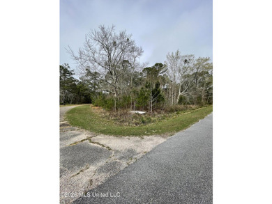 Great location. A short drive to Ingalls, Pascagoula, Ocean - photo 12