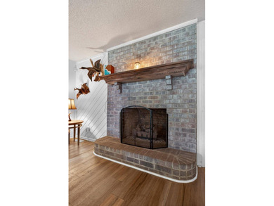 Welcome to 213 Elm Street in charming Mitten Park & Terrace! - photo 14