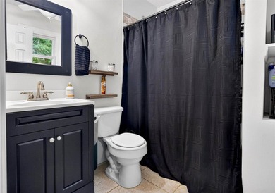Welcome to 213 Elm Street in charming Mitten Park & Terrace! - photo 28