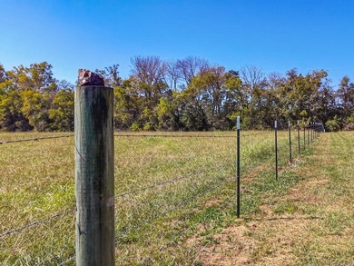 An equestrian dream! This gorgeous 50 +/- acre property has it - photo 7