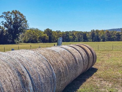 An equestrian dream! This gorgeous 50 +/- acre property has it - photo 10