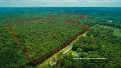 Prime location! Heavily wooded beautiful property! - Lake Lot For Sale in Dadeville, Alabama