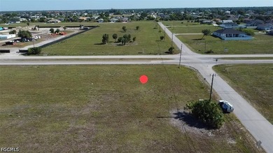 Package Deal! Includes 2 Commercial parcels: 2096 & 2098 - photo 5