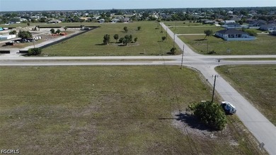 Package Deal! Includes 2 Commercial parcels: 2096 & 2098 - photo 6