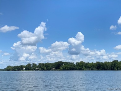 Lake Acreage For Sale in Camden, Alabama