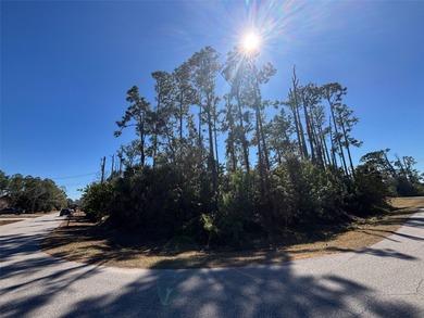 Northport Waterway Lakes and Canals Lot For Sale in North Port Florida