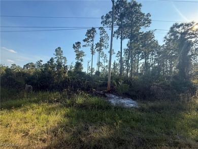 Lehigh Acres Area Lot For Sale in Lehigh Acres Florida