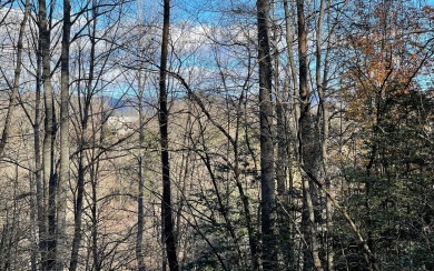 BEAUTIFULLY WOODED LOT IN THE MOUNTAINS OF NORTH CAROLINA!! This - Lake Lot For Sale in Hayesville, North Carolina