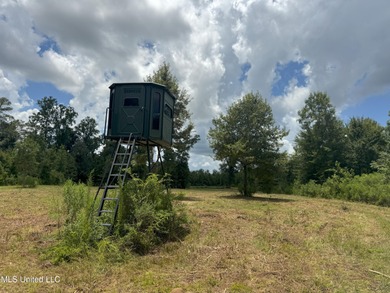 (private lake, pond, creek) Acreage For Sale in Brookhaven Mississippi