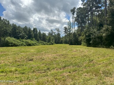 This is a one-of-a-kind gem of a tract. It's literally within 5 - photo 2