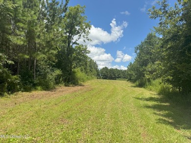This is a one-of-a-kind gem of a tract. It's literally within 5 - photo 3