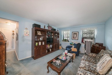 Charming and spacious one-bedroom co-op with great natural light - photo 3